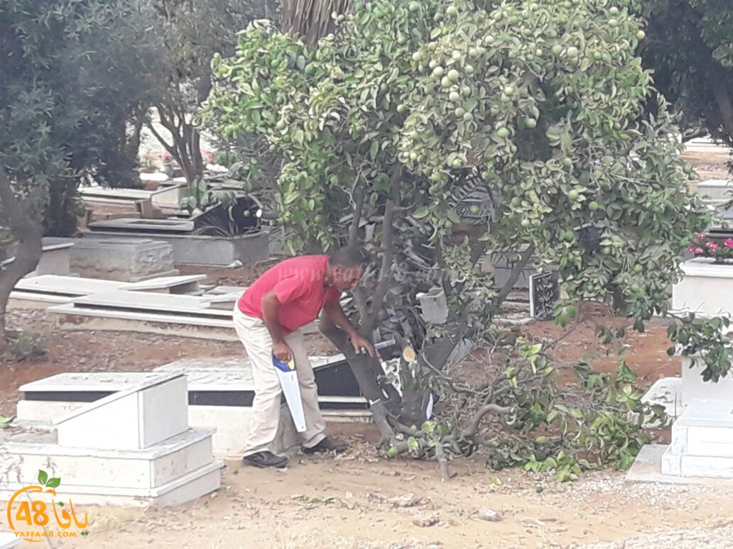 maqbara yaffai39 tandef (8).jpg